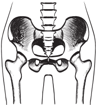 Иллюстрация к книге — В зоне риска. Тонкости защиты женского организма. Как ВПЧ проникает в наш организм, чем он опасен и что поможет избежать последствий [i_031.jpg]