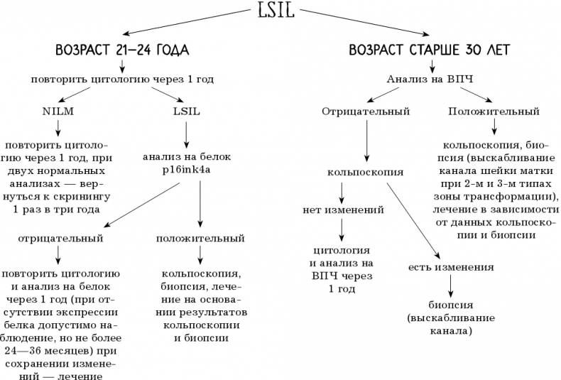 Иллюстрация к книге — В зоне риска. Тонкости защиты женского организма. Как ВПЧ проникает в наш организм, чем он опасен и что поможет избежать последствий [i_049.jpg]