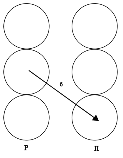 Иллюстрация к книге — Секс в человеческой любви [i_027.jpg]