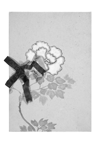 Иллюстрация к книге — Путевой дневник [i_032.jpg]