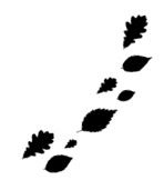 Иллюстрация к книге — Ведьма [i_007.jpg]