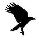 Иллюстрация к книге — Ведьма [i_009.jpg]