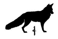 Иллюстрация к книге — Ведьма [i_014.jpg]