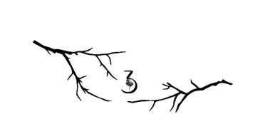 Иллюстрация к книге — Ведьма [i_021.jpg]