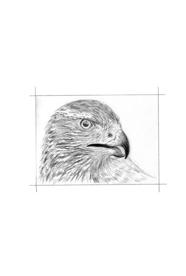 Иллюстрация к книге — Ведьма [i_025.jpg]