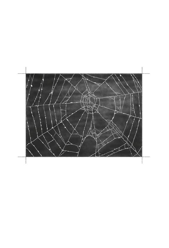 Иллюстрация к книге — Ведьма [i_031.jpg]