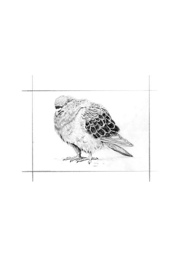 Иллюстрация к книге — Ведьма [i_037.jpg]