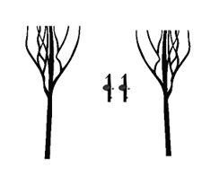 Иллюстрация к книге — Ведьма [i_044.jpg]