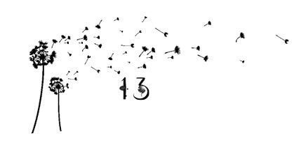 Иллюстрация к книге — Ведьма [i_050.jpg]