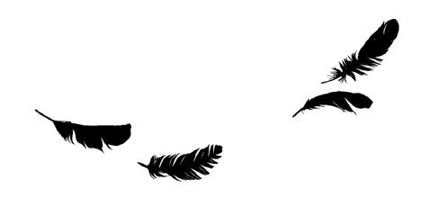 Иллюстрация к книге — Ведьма [i_051.jpg]