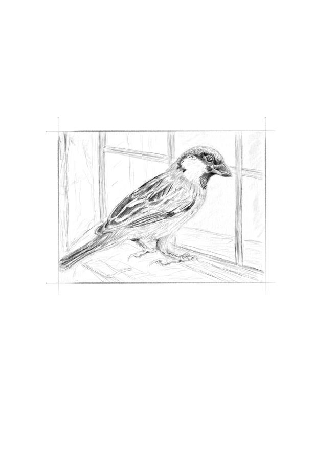 Иллюстрация к книге — Ведьма [i_052.jpg]