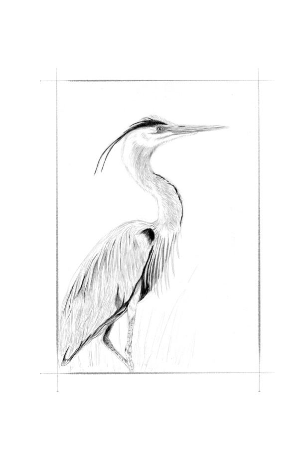 Иллюстрация к книге — Ведьма [i_058.jpg]