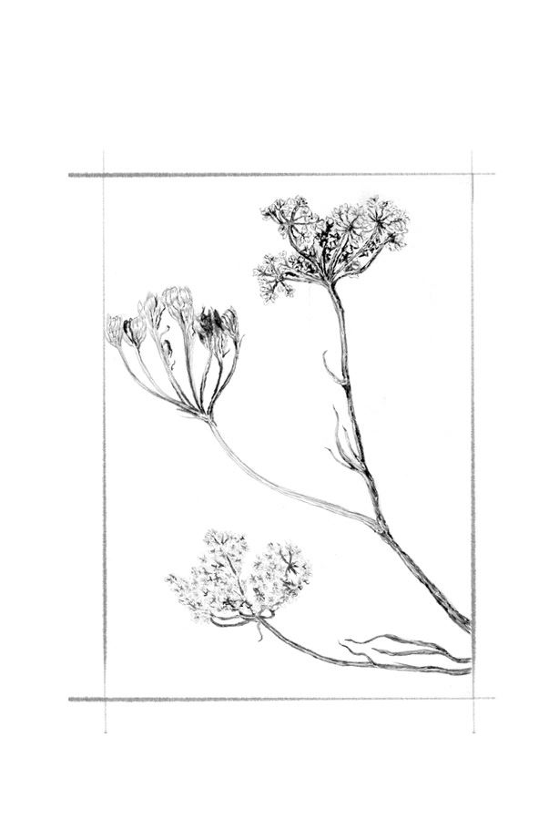 Иллюстрация к книге — Ведьма [i_061.jpg]