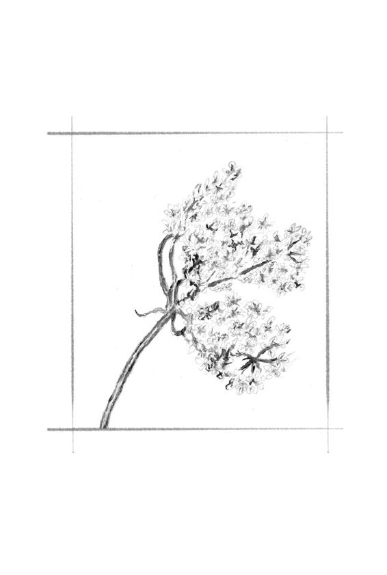 Иллюстрация к книге — Ведьма [i_064.jpg]