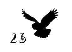 Иллюстрация к книге — Ведьма [i_079.jpg]