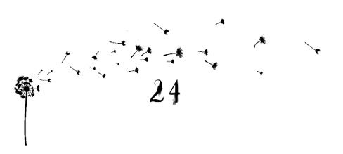 Иллюстрация к книге — Ведьма [i_083.jpg]