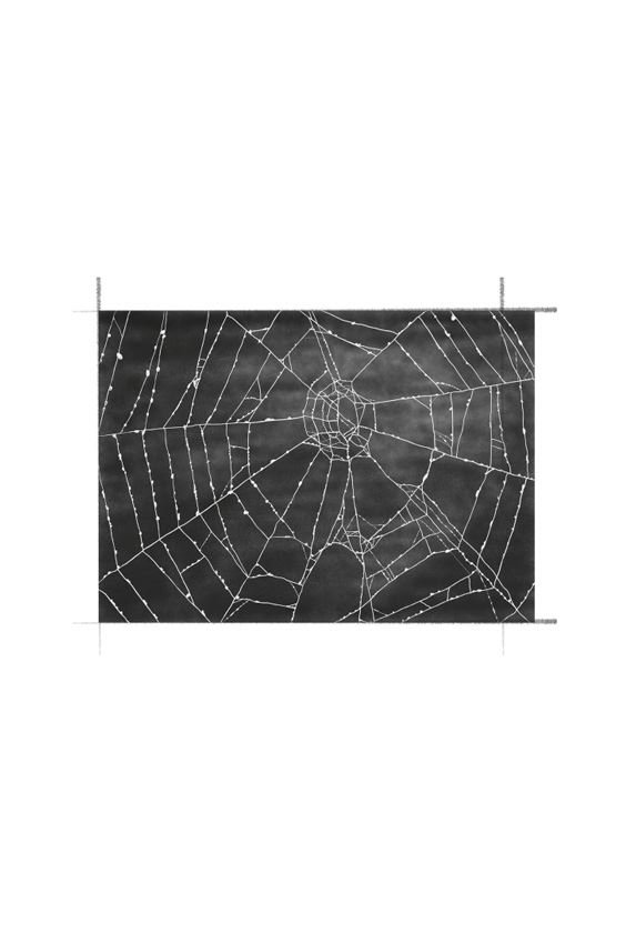 Иллюстрация к книге — Ведьма [i_099.jpg]