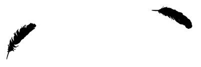 Иллюстрация к книге — Ведьма [i_106.jpg]