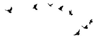 Иллюстрация к книге — Ведьма [i_111.jpg]