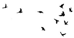 Иллюстрация к книге — Ведьма [i_112.jpg]