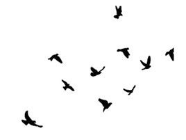 Иллюстрация к книге — Ведьма [i_117.jpg]