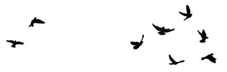 Иллюстрация к книге — Ведьма [i_120.jpg]