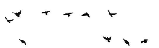 Иллюстрация к книге — Ведьма [i_128.jpg]