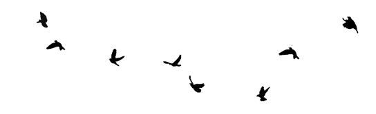 Иллюстрация к книге — Ведьма [i_129.jpg]