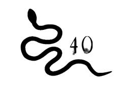 Иллюстрация к книге — Ведьма [i_151.jpg]