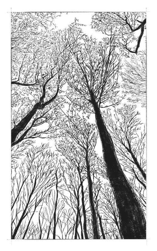 Иллюстрация к книге — Ведьма [i_152.jpg]