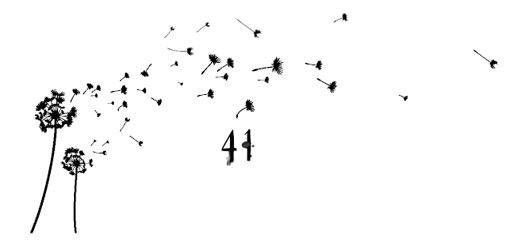 Иллюстрация к книге — Ведьма [i_153.jpg]