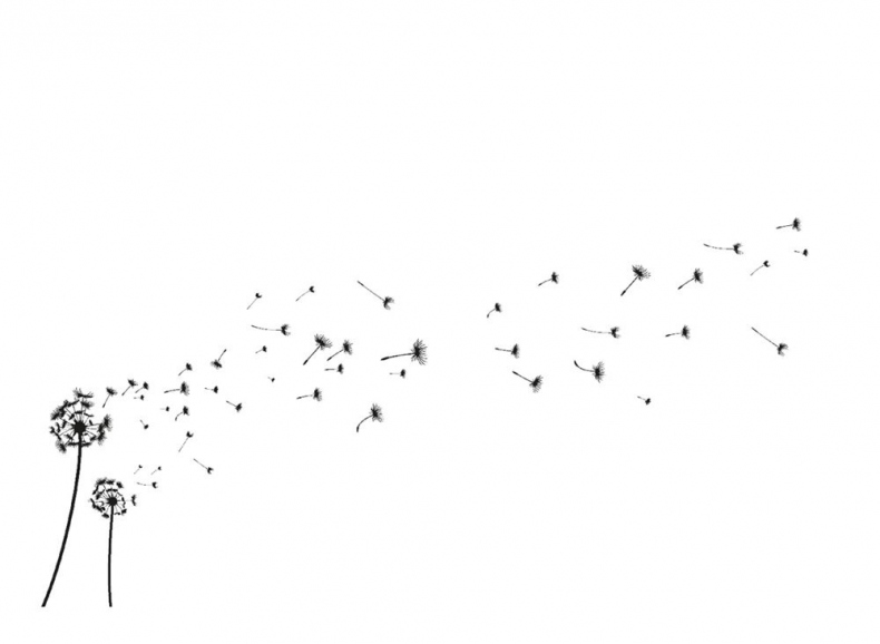 Иллюстрация к книге — Ведьма [i_155.jpg]