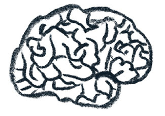 Иллюстрация к книге — Просто о мозге. Как знания о мозге помогают получить больше [i_006.jpg]