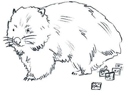 Иллюстрация к книге — Просто о мозге. Как знания о мозге помогают получить больше [i_030.jpg]