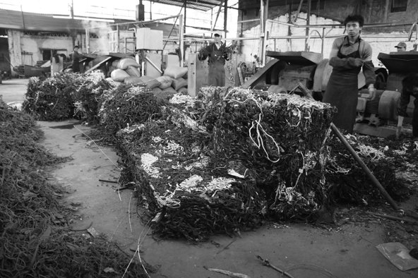 Иллюстрация к книге — Планета свалок. Путешествия по многомиллиардной мусорной индустрии [i_003.jpg]