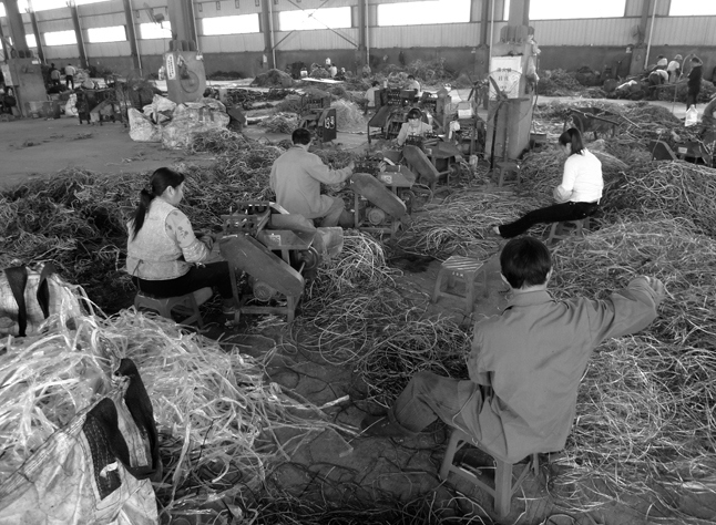 Иллюстрация к книге — Планета свалок. Путешествия по многомиллиардной мусорной индустрии [i_040.jpg]