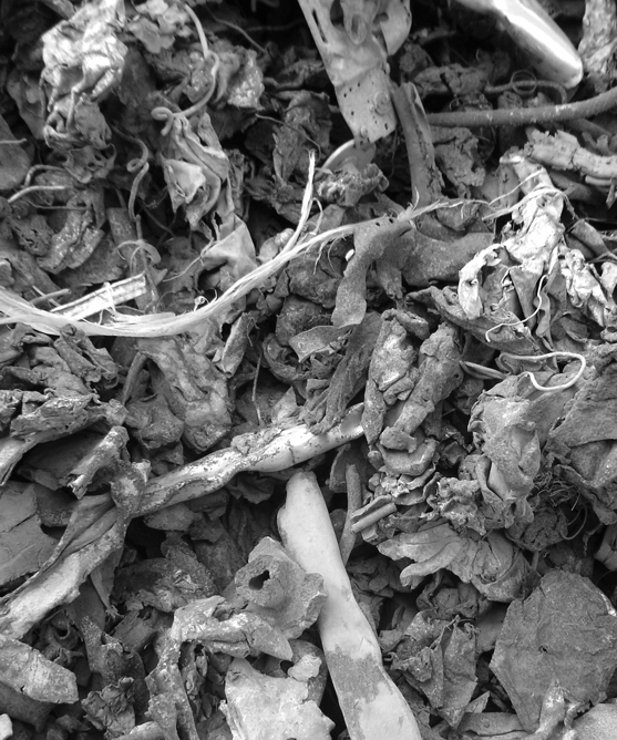 Иллюстрация к книге — Планета свалок. Путешествия по многомиллиардной мусорной индустрии [i_052.jpg]