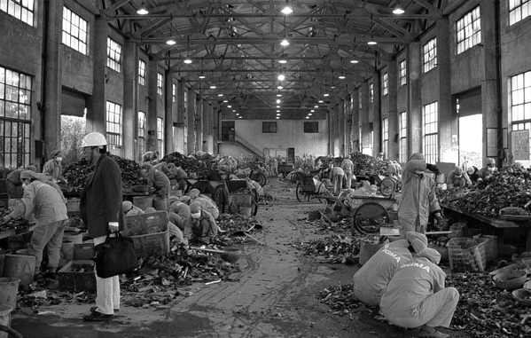 Иллюстрация к книге — Планета свалок. Путешествия по многомиллиардной мусорной индустрии [i_060.jpg]