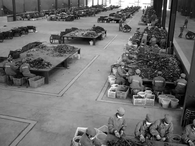 Иллюстрация к книге — Планета свалок. Путешествия по многомиллиардной мусорной индустрии [i_061.jpg]