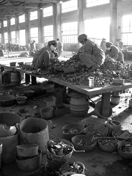 Иллюстрация к книге — Планета свалок. Путешествия по многомиллиардной мусорной индустрии [i_062.jpg]