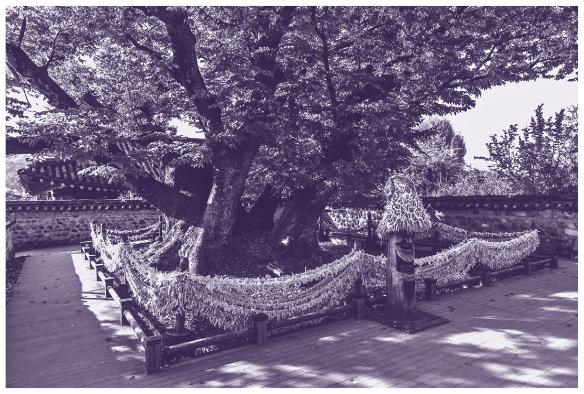 Иллюстрация к книге — Корейские мифы. От небесного владыки и принцессы Пари до королей-драконов и духов-хранителей [i_041.jpg]