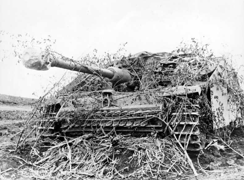 Иллюстрация к книге — Июль 1944. Битва за Псков [i_103.jpg]