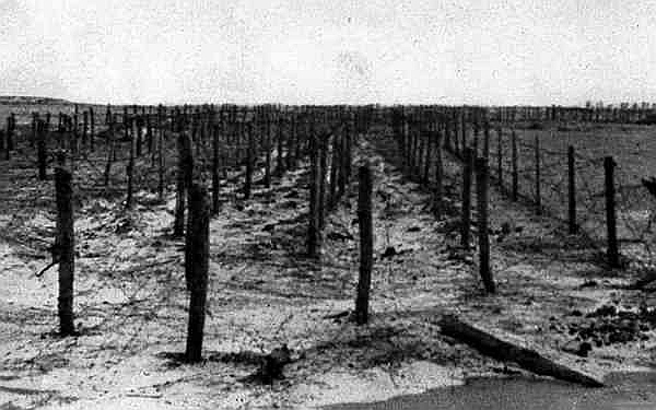 Иллюстрация к книге — Оборона Крыма 1941 г. Прорыв Манштейна [i_007.jpg]