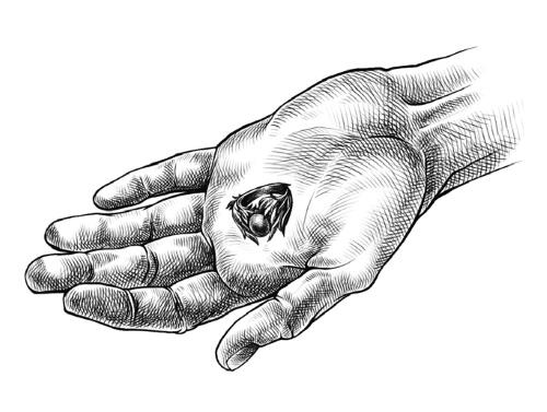 Иллюстрация к книге — Сиротки [i_019.jpg]