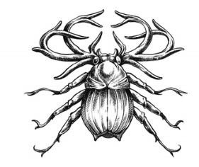 Иллюстрация к книге — Сиротки [i_031.jpg]