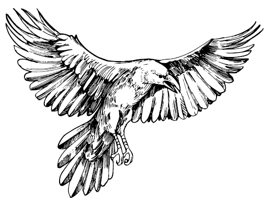 Иллюстрация к книге — Боги Черной Лощины [i_001.jpg]