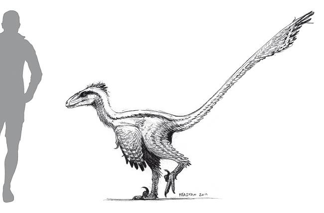 Иллюстрация к книге — Требуется сборка. Расшифровываем четыре миллиарда лет истории жизни – от древних окаменелостей до ДНК [i_008.jpg]