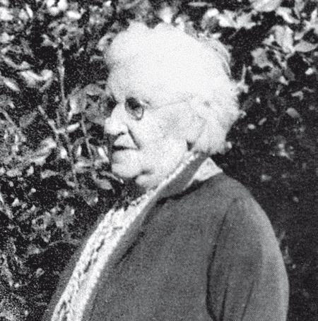 Иллюстрация к книге — Требуется сборка. Расшифровываем четыре миллиарда лет истории жизни – от древних окаменелостей до ДНК [i_019.jpg]