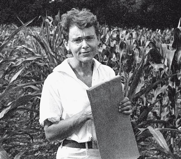 Иллюстрация к книге — Требуется сборка. Расшифровываем четыре миллиарда лет истории жизни – от древних окаменелостей до ДНК [i_034.jpg]