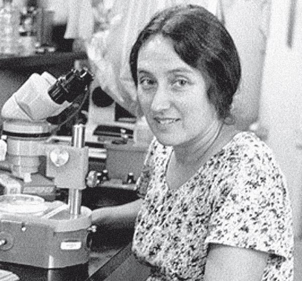 Иллюстрация к книге — Требуется сборка. Расшифровываем четыре миллиарда лет истории жизни – от древних окаменелостей до ДНК [i_041.jpg]